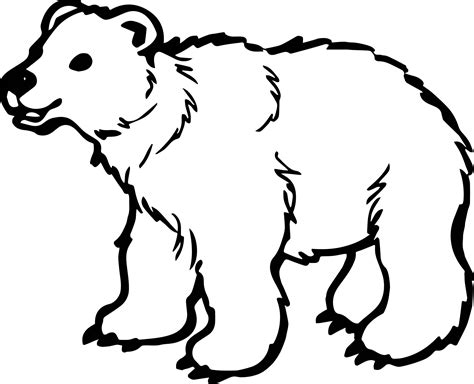 Nice Long Bear Coloring Page Polar Bear Coloring Page Animal