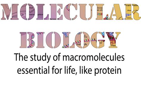 Introduction To Molecular Biology An Interactive Introduction To