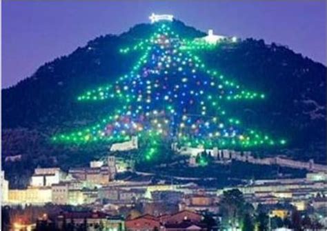 The Worlds Largest Christmas Tree Display Rises Up The Slopes Of Monte