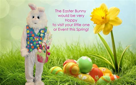 Easter Bunny Gallery | Zippy Entertainment