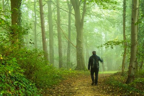 Walking Through Forest Stock Image Image Of Walk Walking 232261