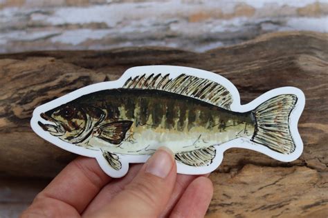 Smallmouth Bass Sticker Fish Sticker Fish Decal Bass Decal Etsy
