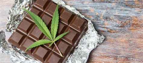 Cannabis Dark Chocolate The Ultimate Edible Beaver Bud