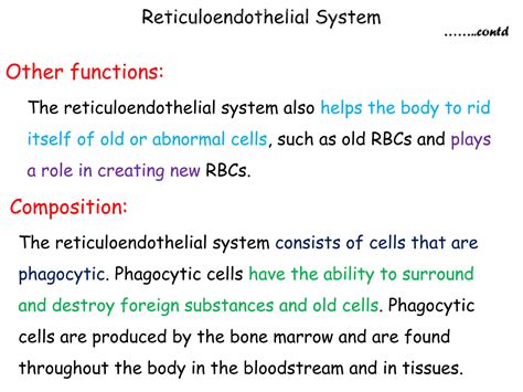 Solution Anatomy Reticuloendothelial System Studypool