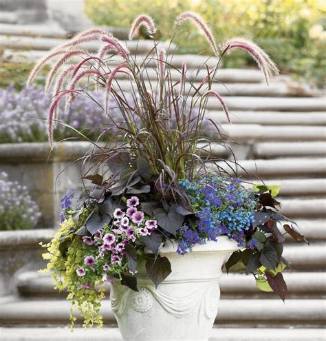 How To Build Stunning Fall Container Gardens Topeka Landscape