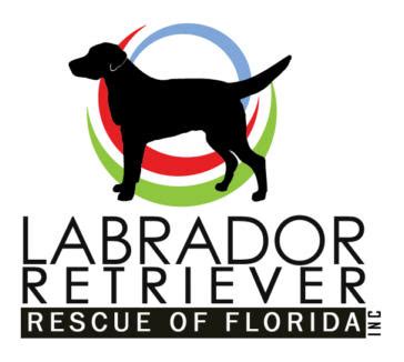 Quality puppies usa is a puppy placement service in central florida. Labrador Retriever Rescue of Florida - Holiday Auction ...
