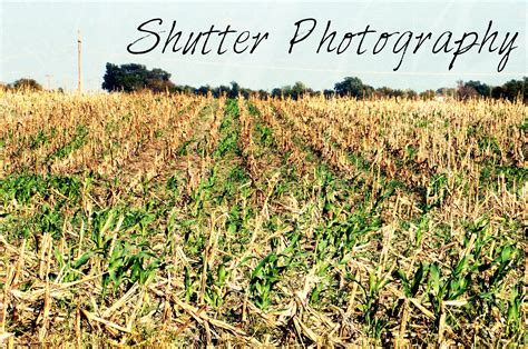 Fall Shutter Photography Shutter Photography Photography Shutters