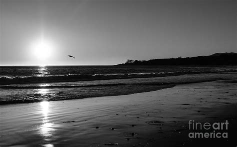 California Sunset In Black And White Photograph By Charlene Gauld