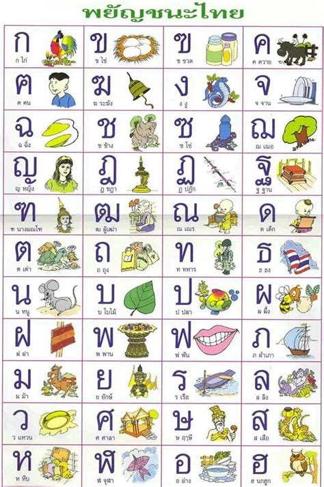 Thai Alphabets Learn Thai Language Thai Alphabet Learn Thai