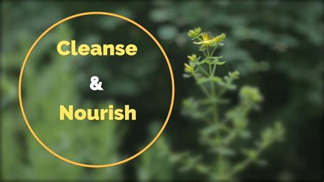 Cleanse And Nourish Youtube
