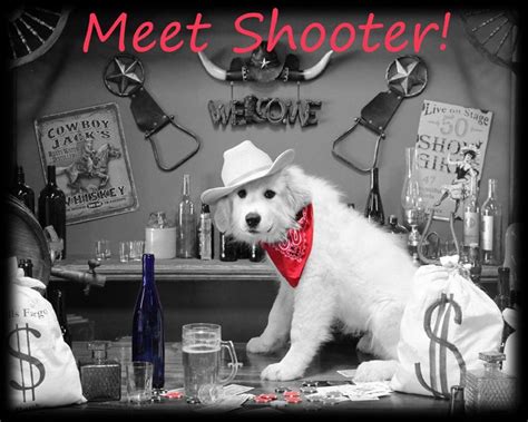 Pagesshooters Old Time Photo521053591364585