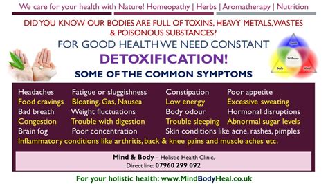 Body Detox Mind And Body Holistic Health Clinic