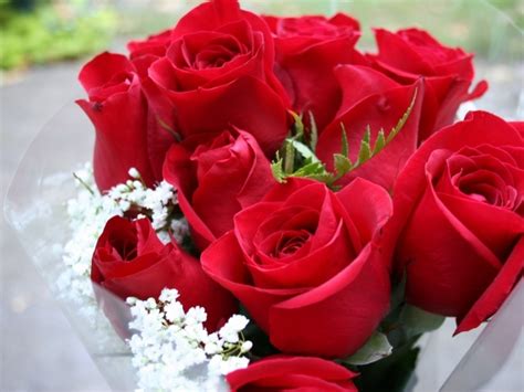 Beautiful Bouquet Of Red Roses On March 8 Wallpapers And Images