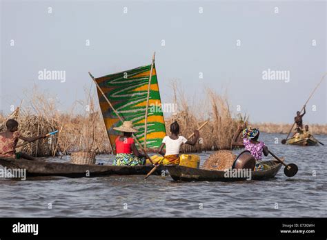 Africa Benin Ganvie Women Paddling Pirogue With Colorful Sail On