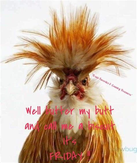 Happy Friday Beautiful Chickens Fancy Chickens Funny Birds