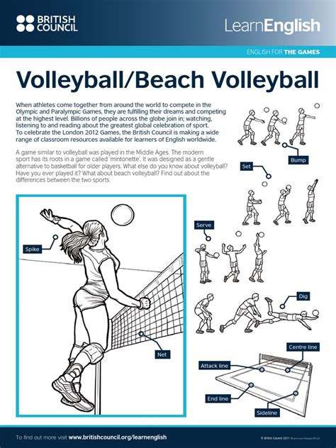 Basic Volleyball Rules And Terminology - Inspirasi Baru 46+ Volleyball Rules