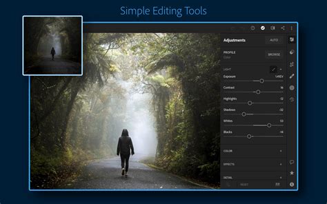 Adobe Lightroom Photo Editor And Pro Camera For Android Apk Download