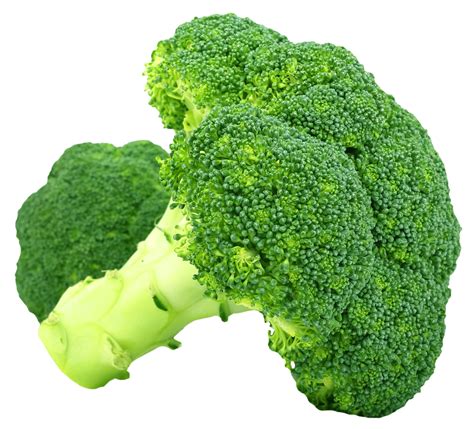 Broccoli Png Transparent Image Download Size 1280x1159px