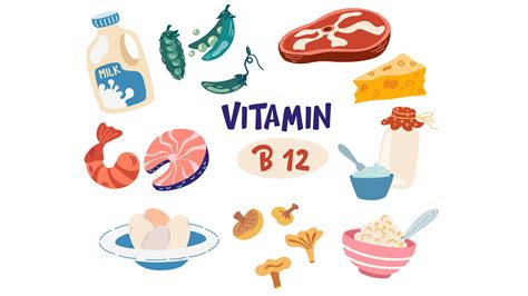 What Are The Foods Rich In Vitamin B Nutritionfact In