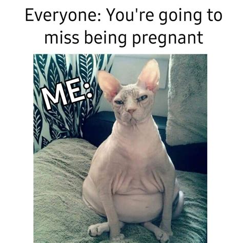 25 relatable pregnancy memes that laugh at the worst of it
