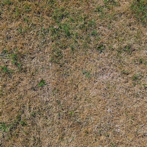 Old Grass Texture Stock Image Image Of Meadow Pattern 43170011
