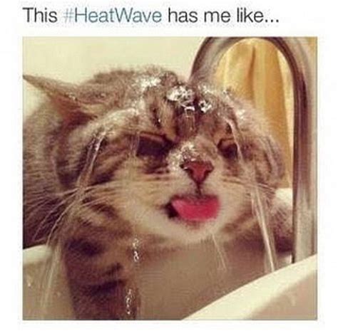 Australians Share Memes About Blistering Heatwave Daily Mail Online