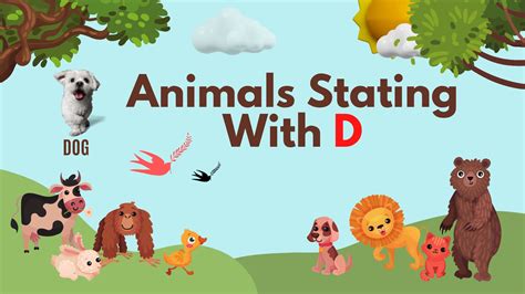 Animals Starting With D English Vocabulary Your Info Master