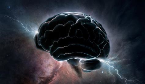 Un Nou Model Neural Scoate La Iveală Modul în Care Creierul Nostru Se