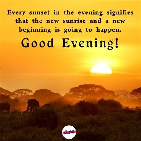 95 Sweet Good Evening Messages Evening Wishes Quotes