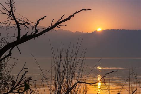 Morgenstimmung Landscape Lake Morning Mood Haze Sun Sunrise