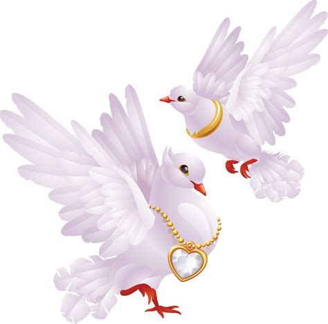 White Pigeons Png Image Transparent Image Download Size 3551x3513px