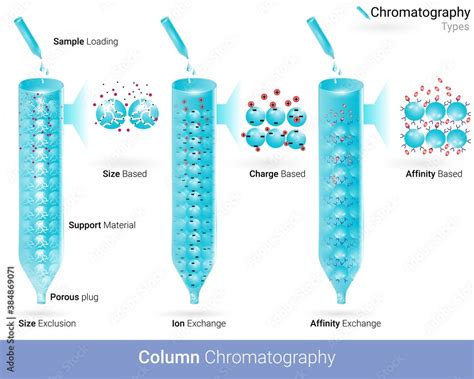 Stockvector Types Of Column Chromatography Affinity Chromatography Ion