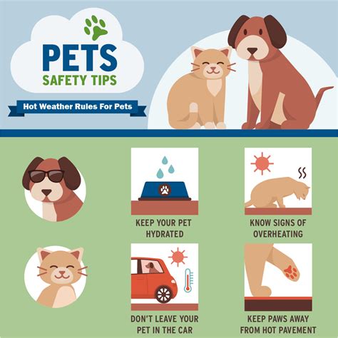 6 Ways To Keep Your Pets Cool This Summer
