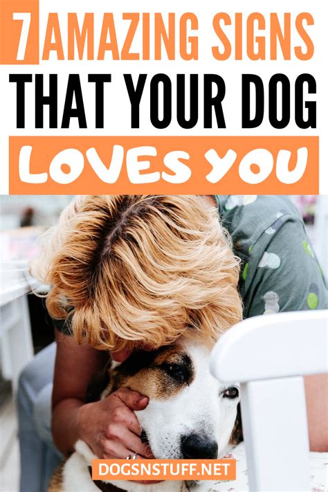 7 Amazing Signs Your Dog Loves You Dog Love Dogs Dog Exercise