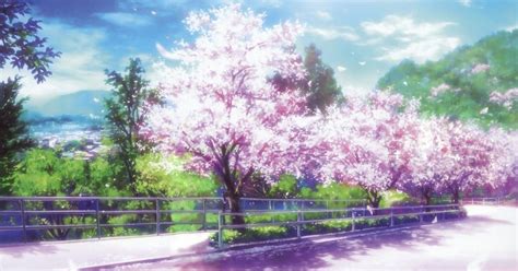 Nature Aesthetic Cherry Blossom Free Scenery Backgrounds