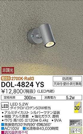 Amazon 大光電機 DAIKO LEDアウトドアスポットライト LED内蔵 天井付壁付床付兼用 防雨形 電球色 電気工事必要