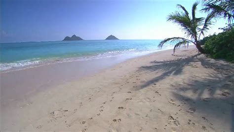 Wonderful Chill Out Music Hawaii Hd Popscreen