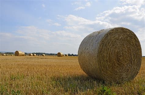 Free Images Landscape Nature Plant Sky Sun Hay Farm Meadow