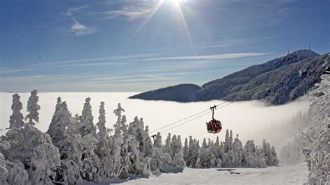Stowe Mountain Resort Holiday Accommodation Holiday Houses And More Stayz
