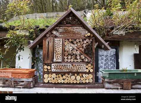 View to an insect house in the garden, protection for insects, named