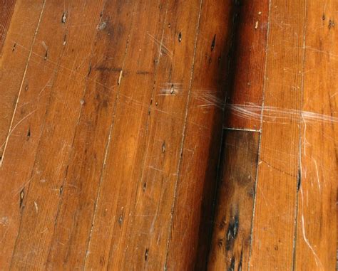 How To Repair Hardwood Floor Scratches Gohaus Engineered Wood