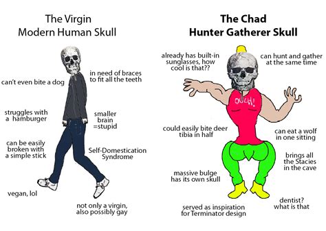 the virgin modern human skull vs chad hunter gatherer skull r virginvschad