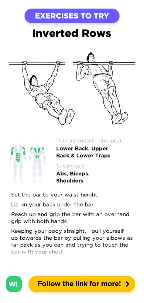 Inverted Rows Reverse Pull Ups Workoutlabs Exercise Guide