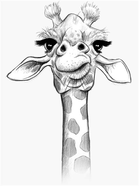 Sketch Giraffe Sticker By Jonthomson Giraffe Art Animal Drawings