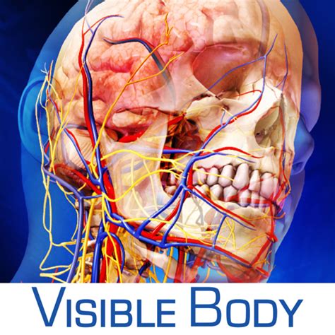 Free Gratis Download Apk Android Human Anatomy Atlas V252 252