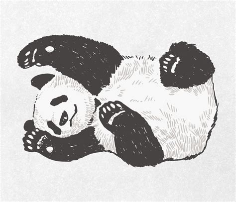 Panda Drawing 01 Ai Illustrator File Us500 Each Ai And Png File