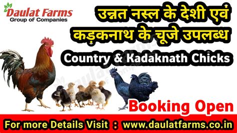 Daulat Organic Farms And Exports 72 Photos Agriculture Raipur