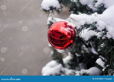 Ball In The Snow On The Christmas Tree Stock Image Image Of Shiny
