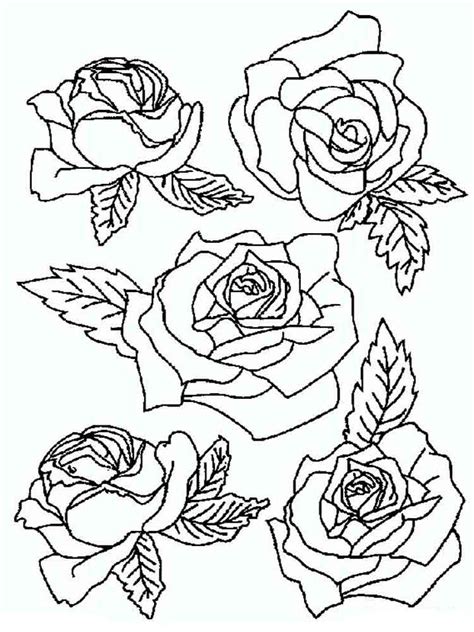 Coloring Pages Of Roses Language:en - Free Printable Roses Coloring