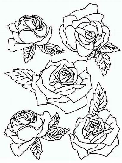 Coloring Flower Pocket Rose Tattoo Ausmalbilder Rosen